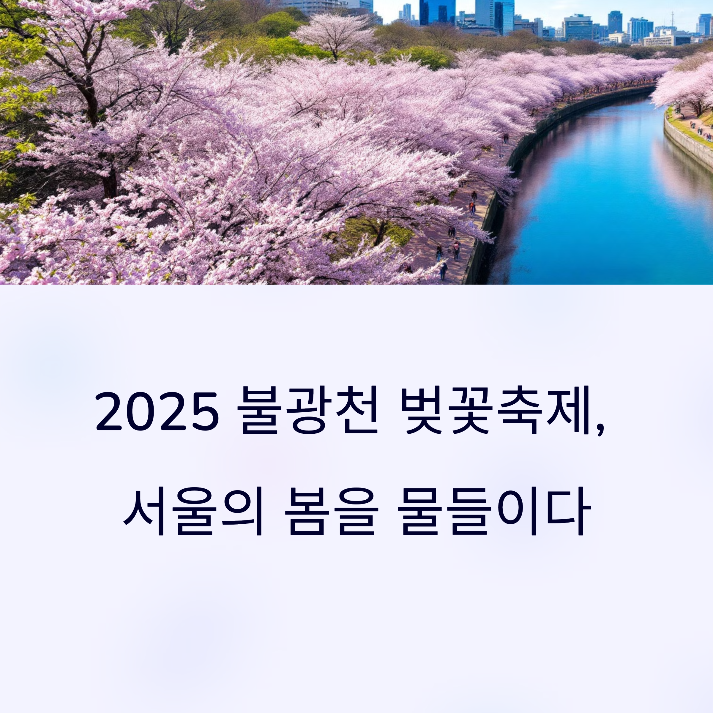 불광천 벚꽃축제