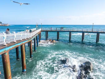 영천 가볼만한곳 베스트10 기억에 남을 멋진 명소 추천_4