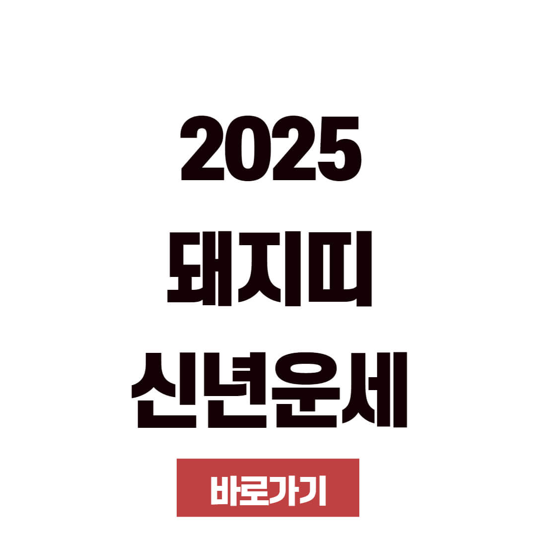 2025년 돼지띠 운세 종합 연령별 사주풀이 무료 보기