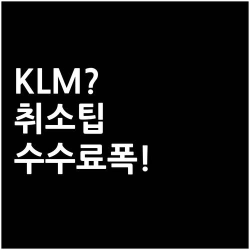 KLM 취소 수수료 항공권 종류별 차..