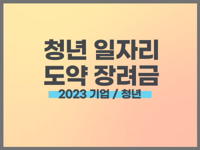 청년일자리도약장려금 사업 (기업 / 청년)