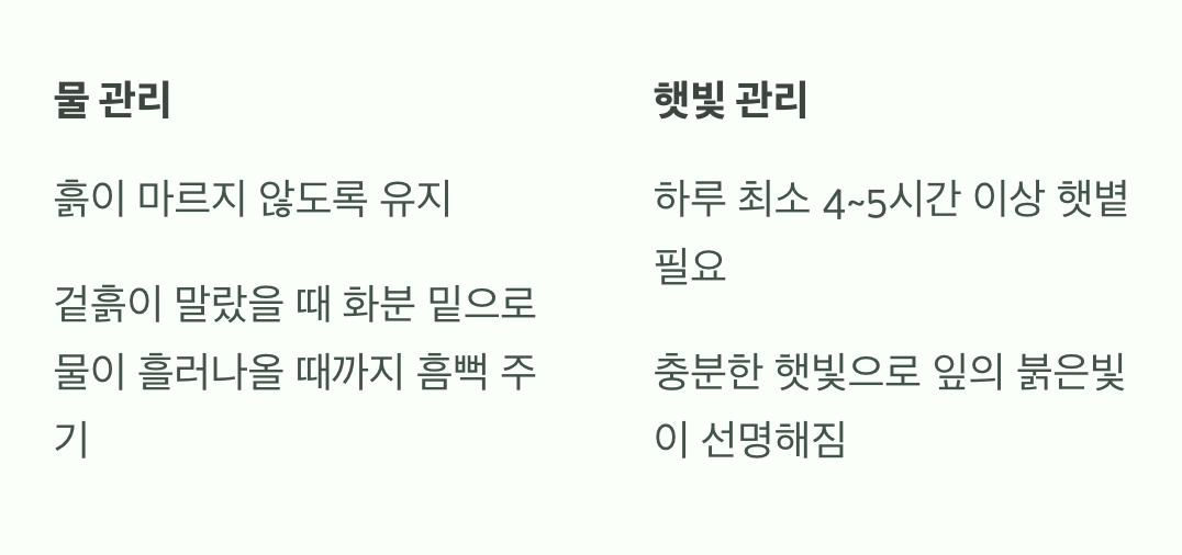 물과 햇빛, 이것만 기억하세요