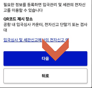 10. 비짓재팬 등록 방법 입국심사 및 세관신고 다음