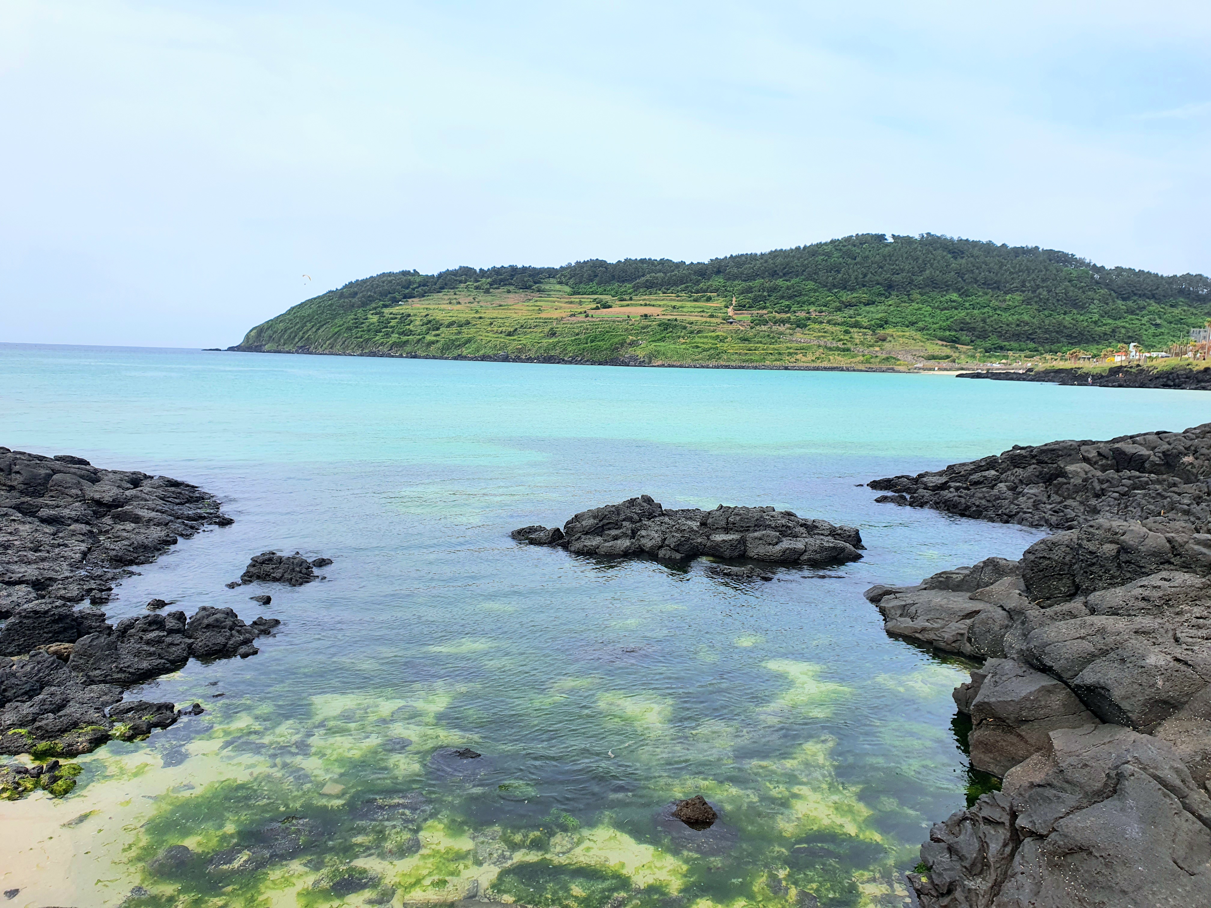 제주의 네 가지 얼굴 사계절 여행의 아름다움