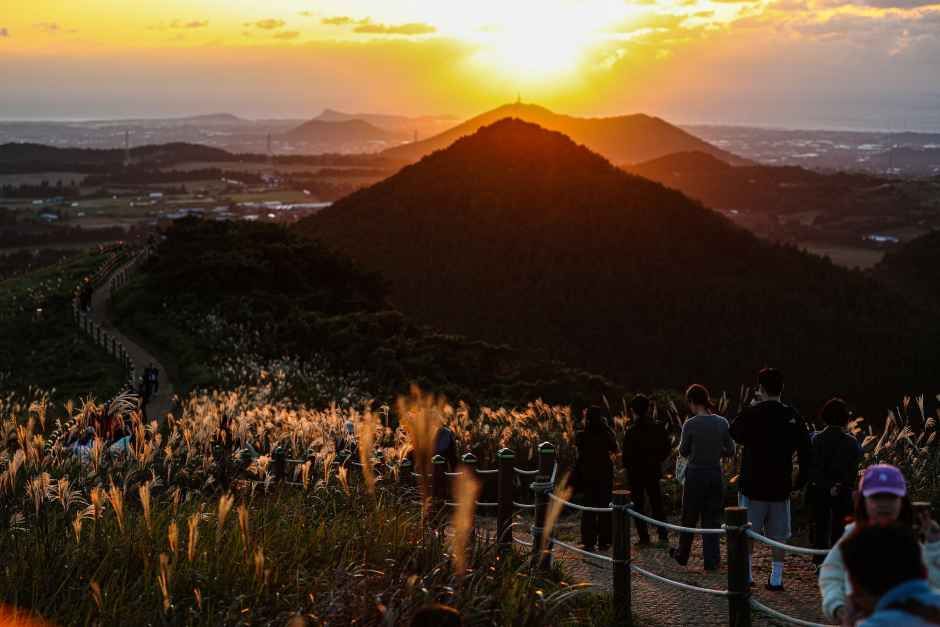 제주 마지막날 코스 공항근처