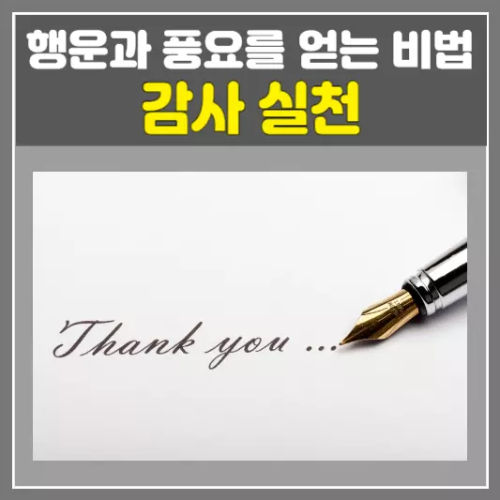 감사 실천