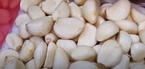 깐마늘 보관하는 법