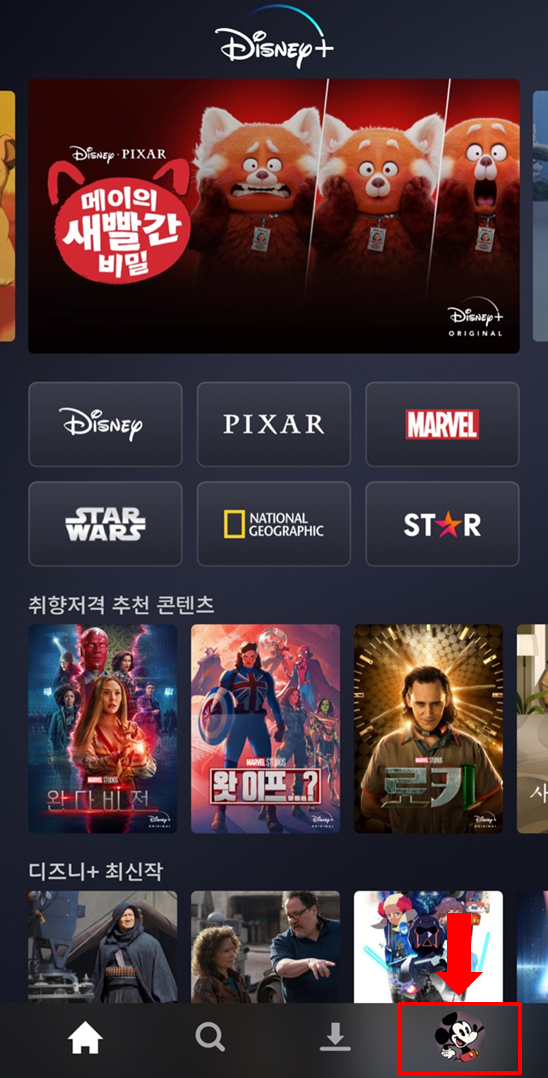 디즈니플러스 해지