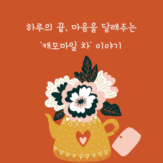 하루의 끝, 마음을 달래주는 '캐모마일 차' 이야기