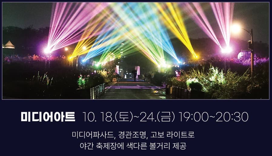 🌾 2025 서울억새축제 완벽 가이드