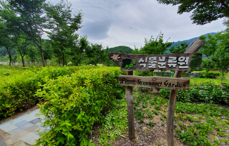백두대간 수목원