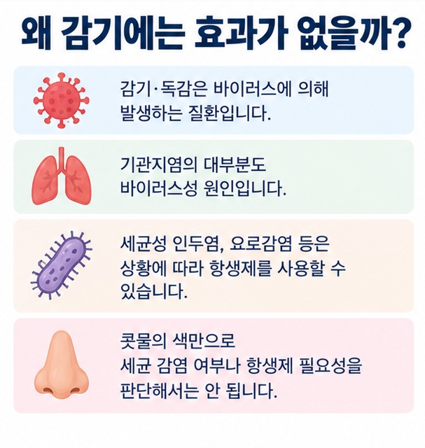 감기 독감 기관지염 세균성 인두염 요로감염을 예로 들어 항생제가 바이러스에는 효과가 없고 세균 감염에 사용되는 이유를 설명한 인포그래픽