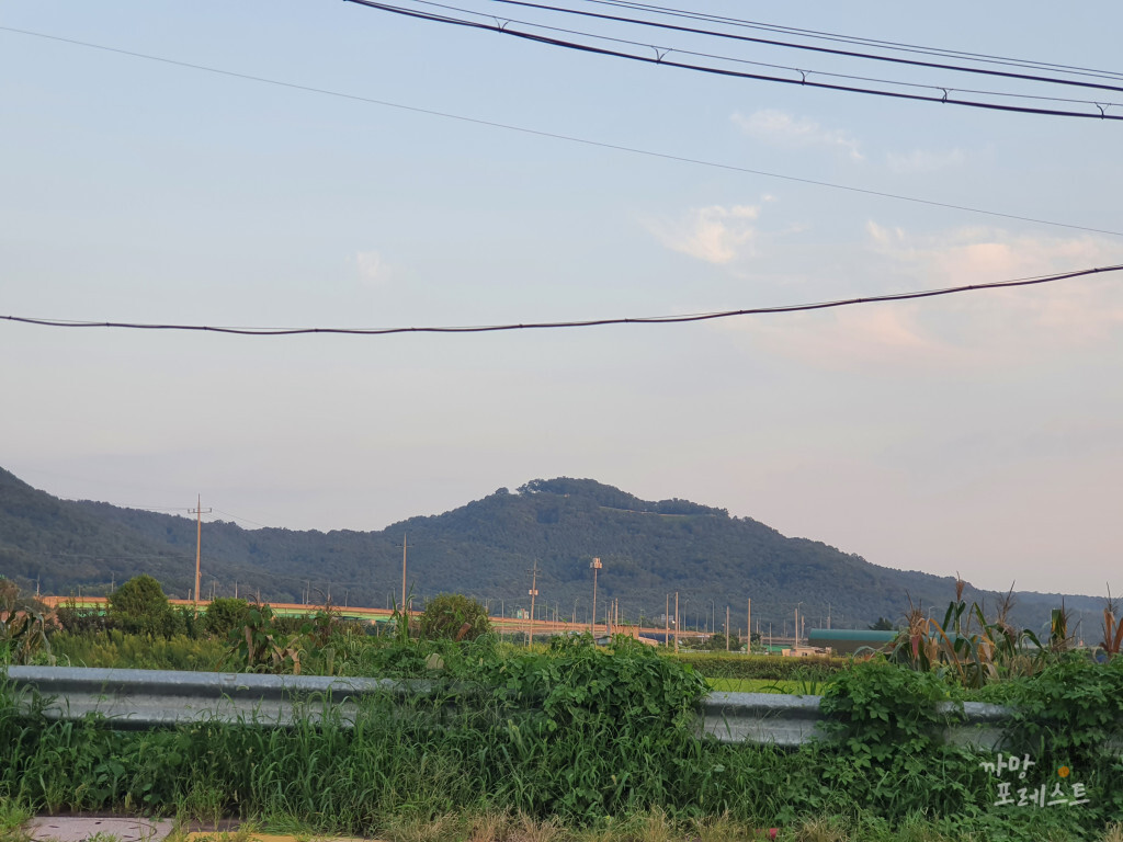 멀리서 본 독산성