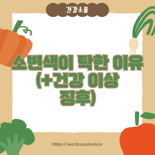소변색이 탁한 이유 (+건강 이상 징후)