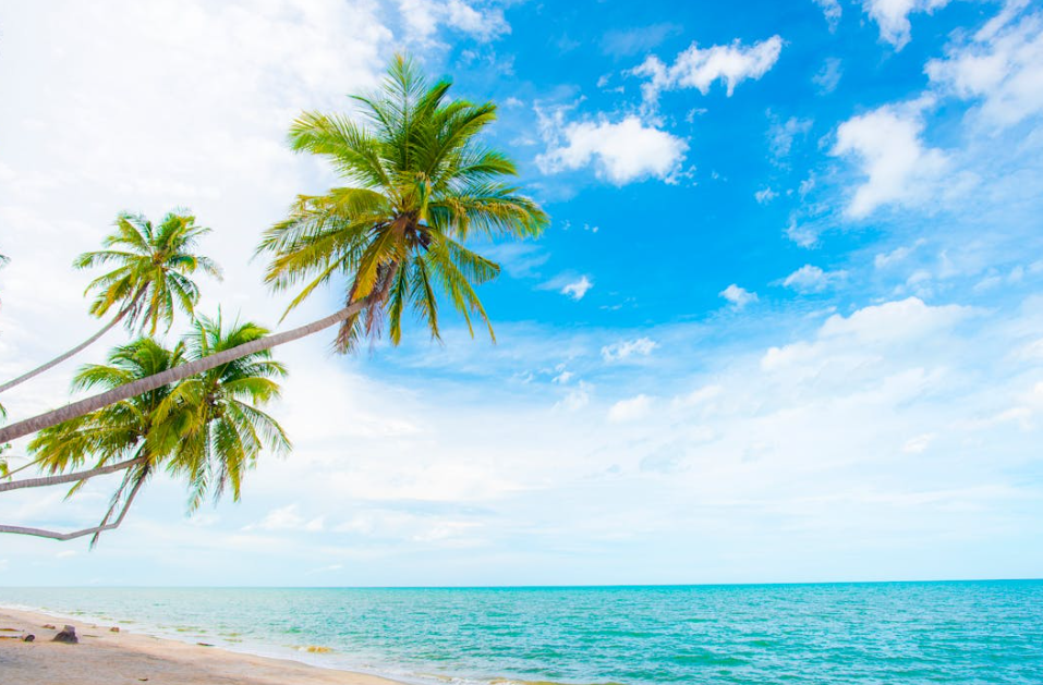 사이판 여행하기 좋은 달 계절