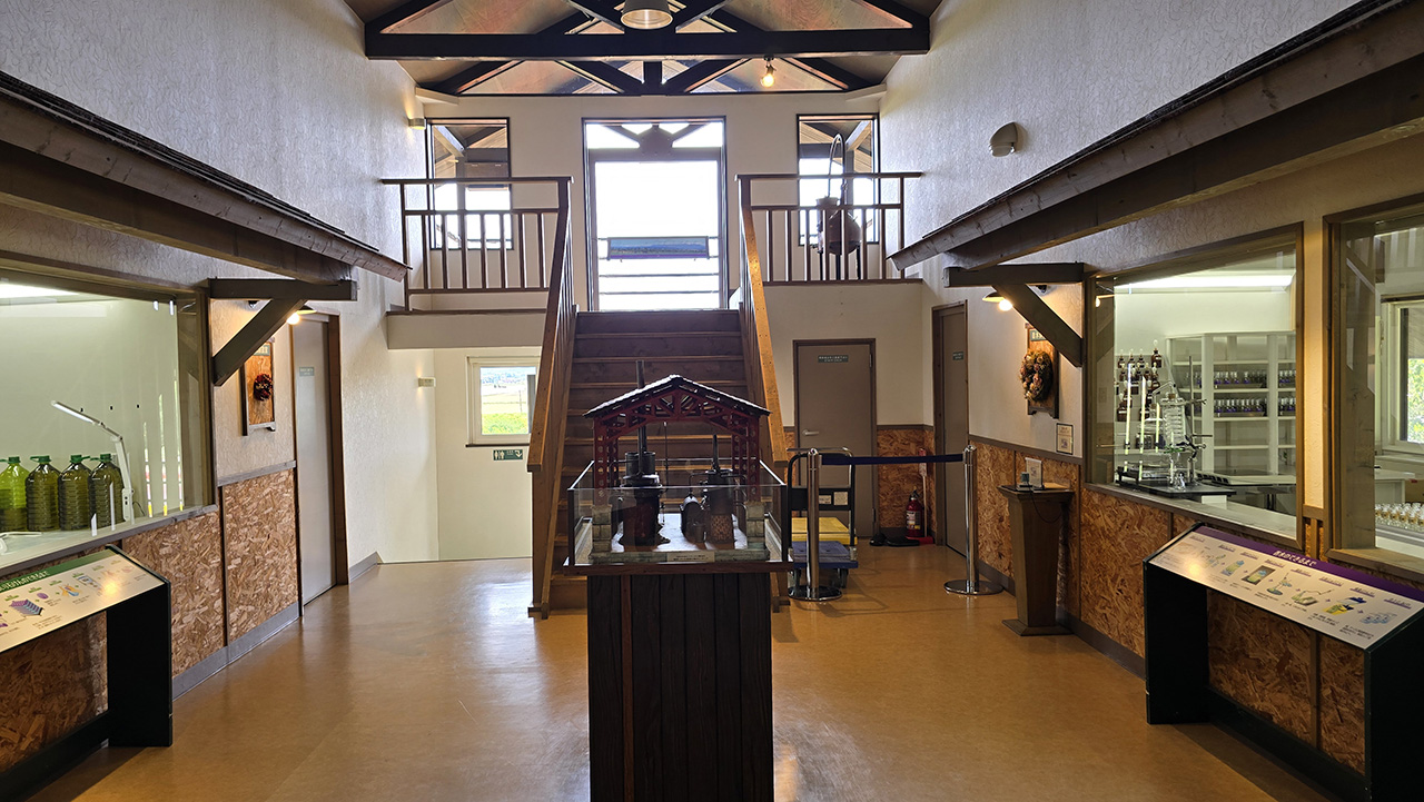 팜토미타 전망대