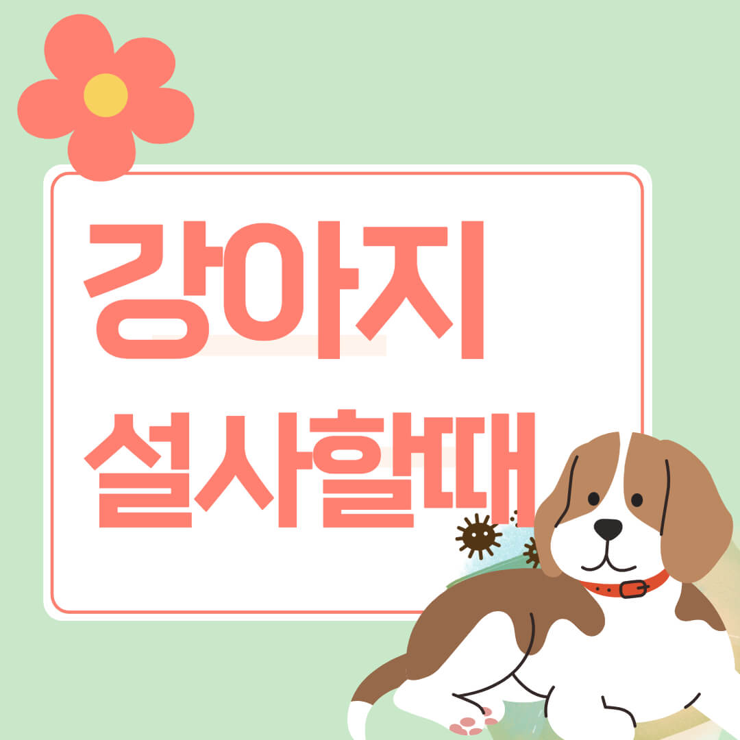 강아지설사원인