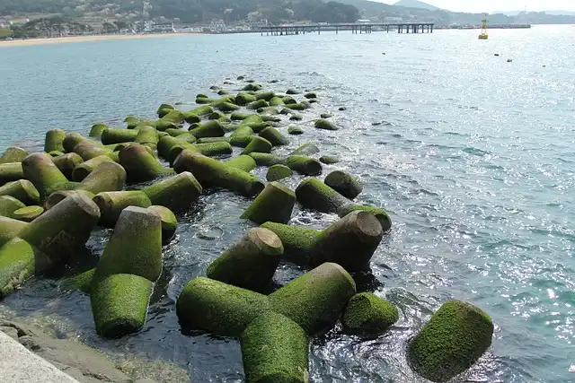 대부도 바닷길 체험 테트라포드와 푸른 바다 풍경