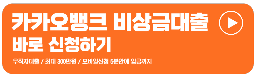 비상금 대출 조건