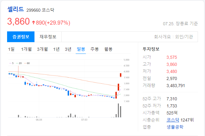 셀리드-일봉-차트-이미지