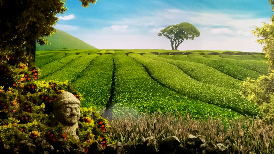 아르떼 뮤지엄 제주