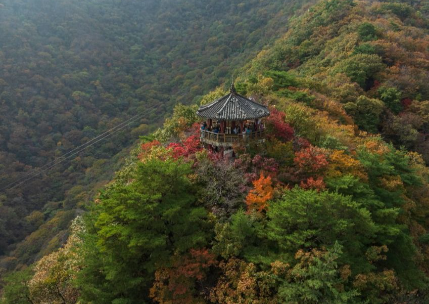 내장산 국립공원