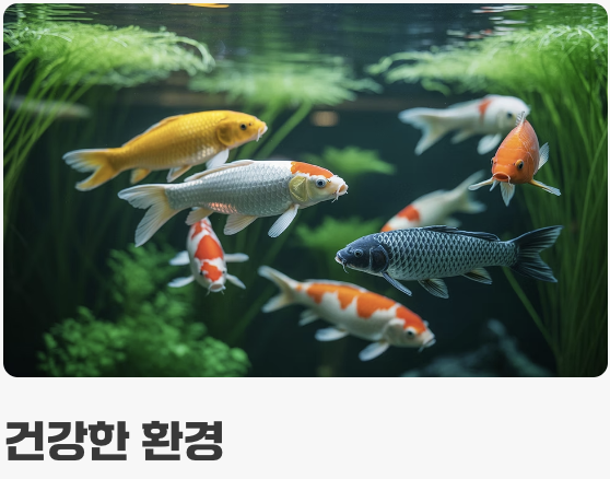 수질 관리 - 강인함의 비결, '기본' 지키기