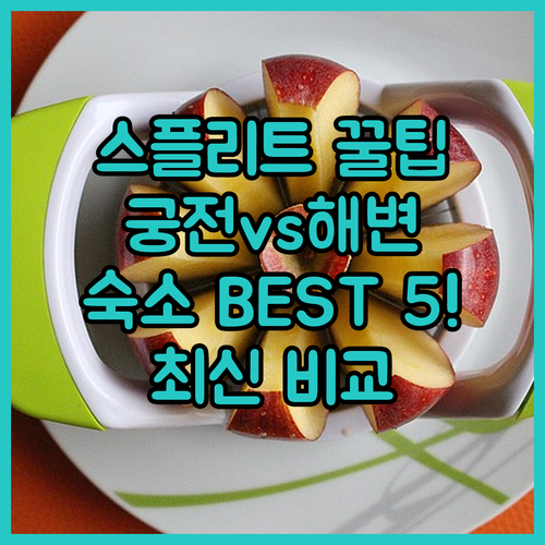 스플리트 여행 숙소 베스트 5 궁전 ..