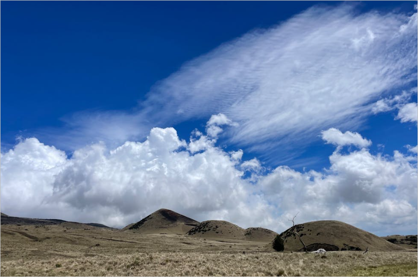 다음메일 고객센터 전화번호 및 이메일 오류 문제해결 방법