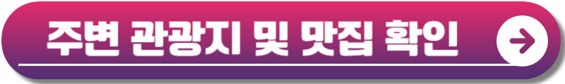 고창 청농원 라벤더시즌