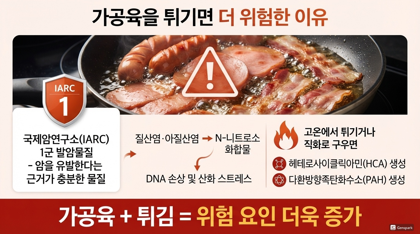 가공육을 튀기면 더 위험한 이유