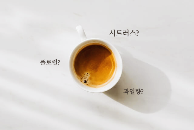 커피향 훈련법
