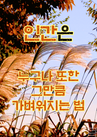 9월의 시 가을 이미지, 억새 바람 풍경, 가을 하늘 배경 시 사진, 9월 감성 시와 글귀