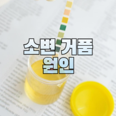 소변 거품 원인