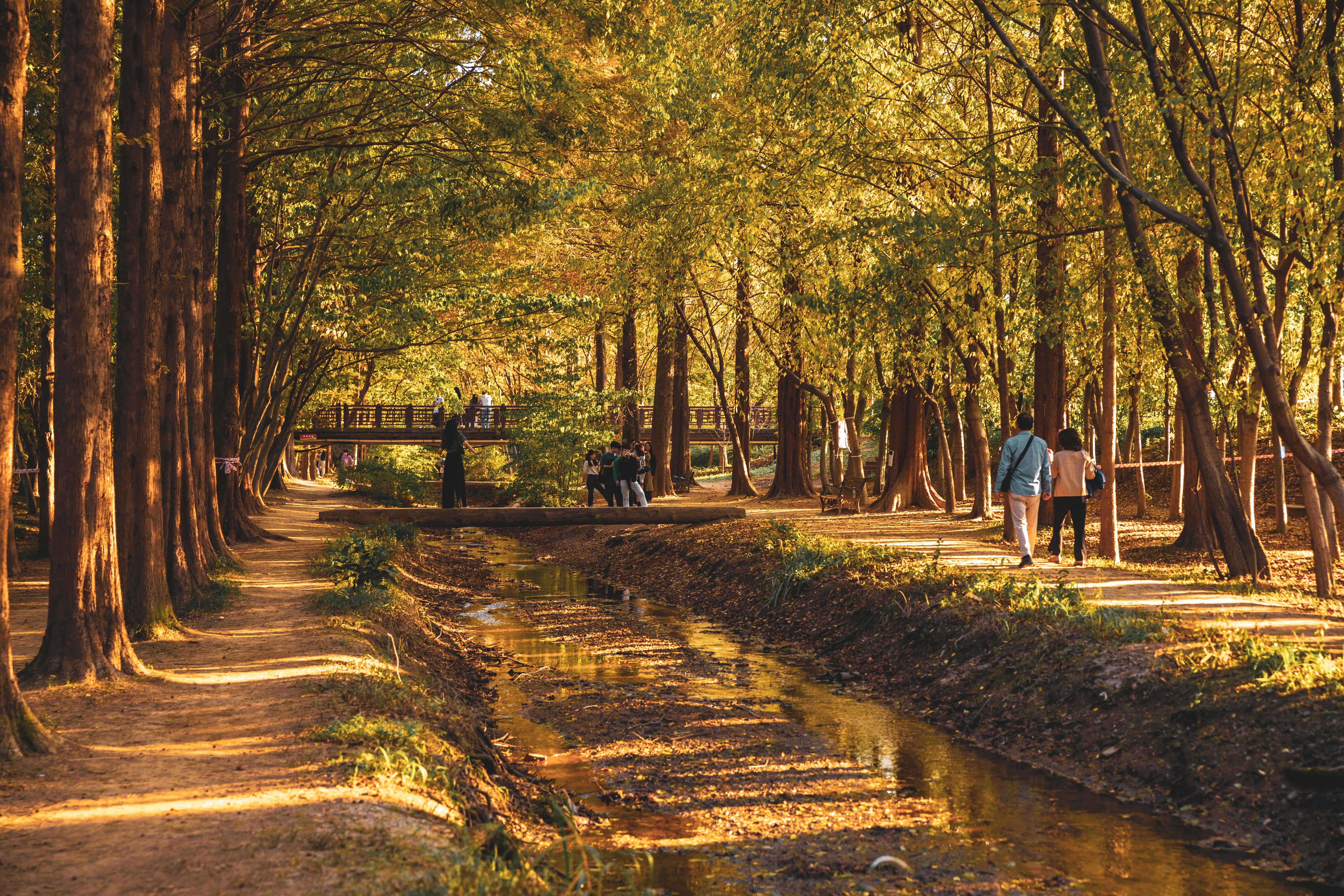경북천년숲정원