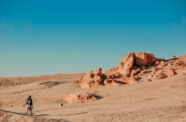 몽골 고비 사막 투어: 인생샷 코스 &숨겨진 명소