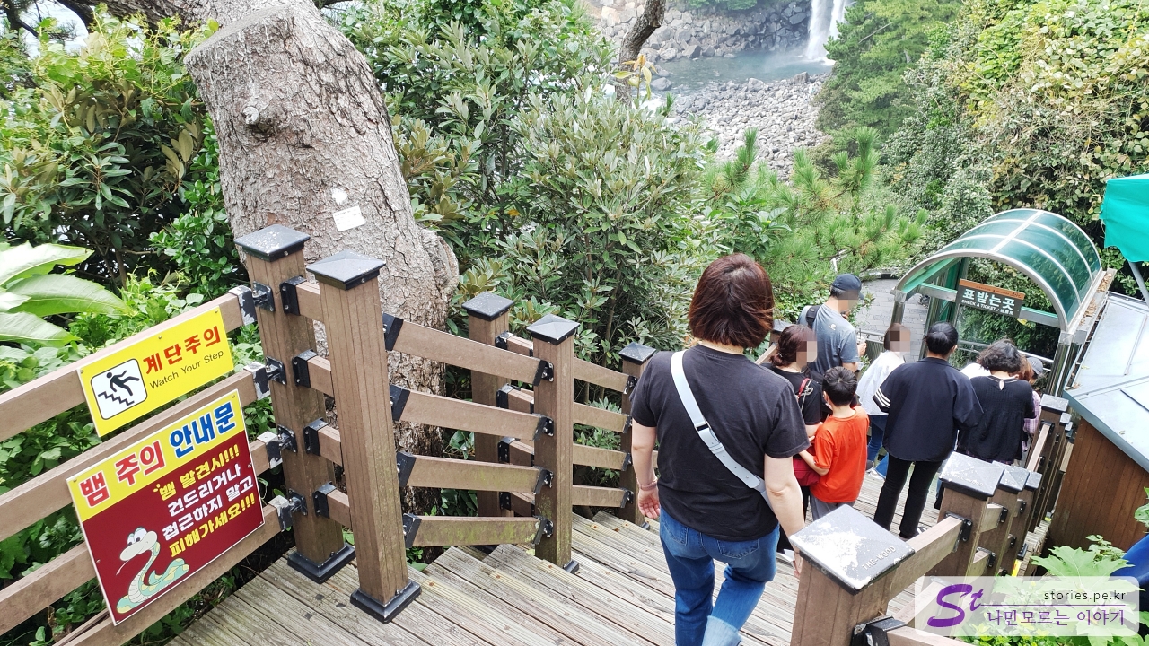 정방폭포 내려가는 길