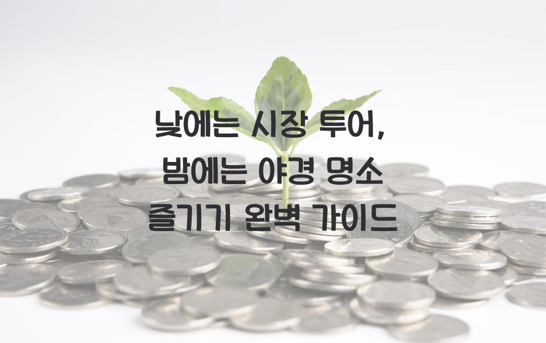 낮에는 시장 투어, 밤에는 야경 명소 즐기기