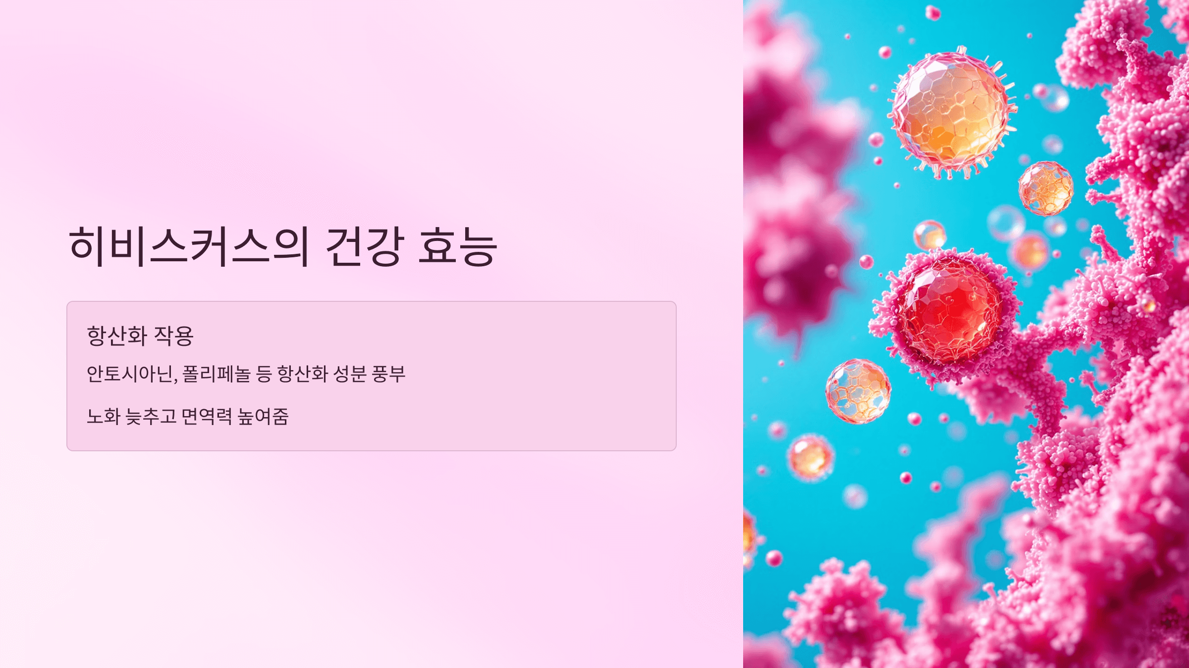 히비스커스 사진입니다.