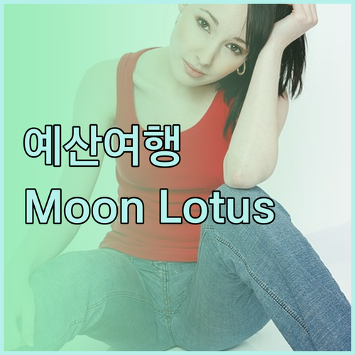 예산 여행객을 위한 최적의 선택은 M