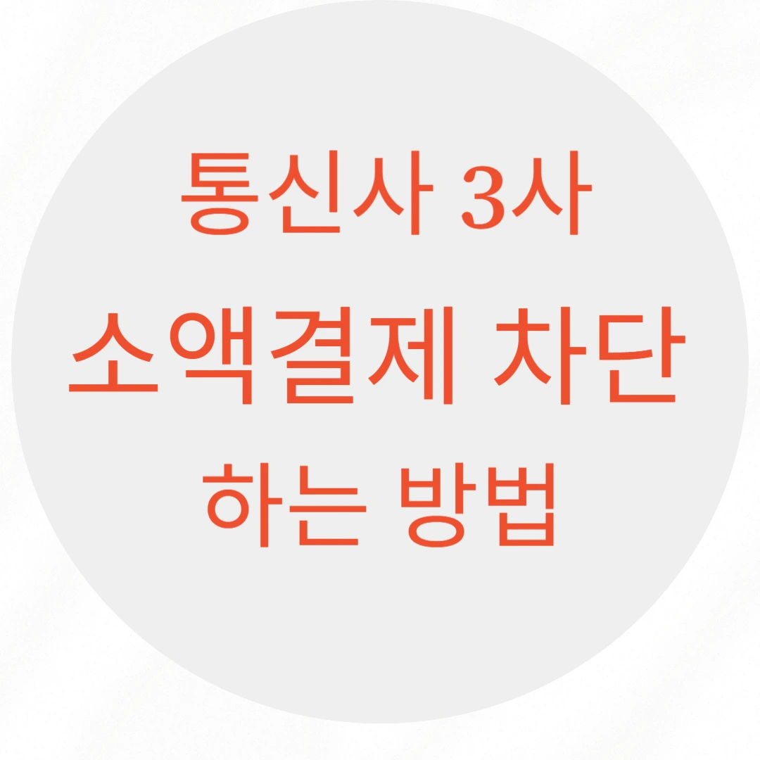 통신사별 소액결체 원천 차단 하는 방법