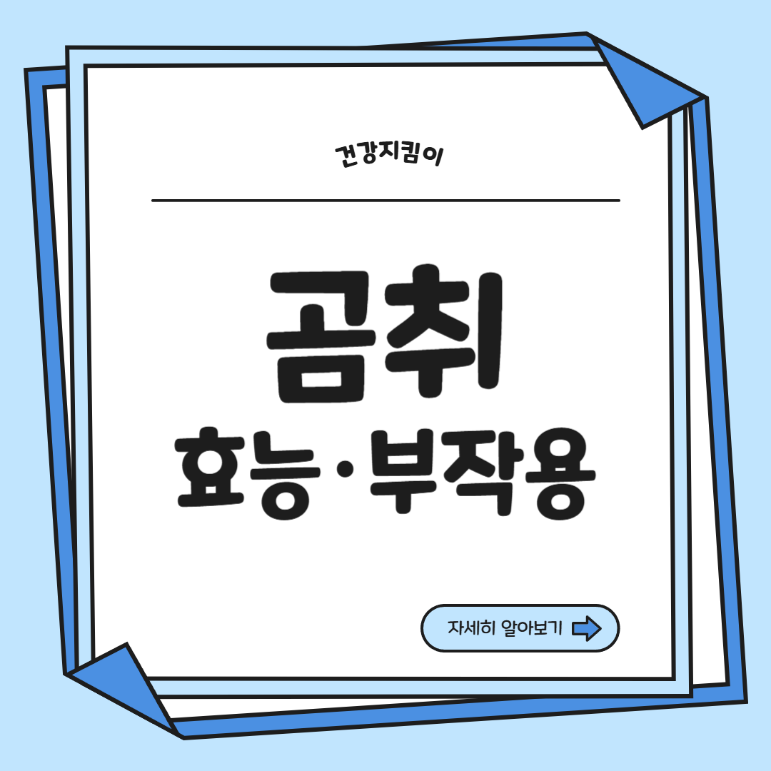 곰취나물 효능 부작용 고르는법 먹는법 칼로리