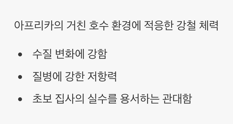 초보자의 실수를 용서하는 강인한 생명력