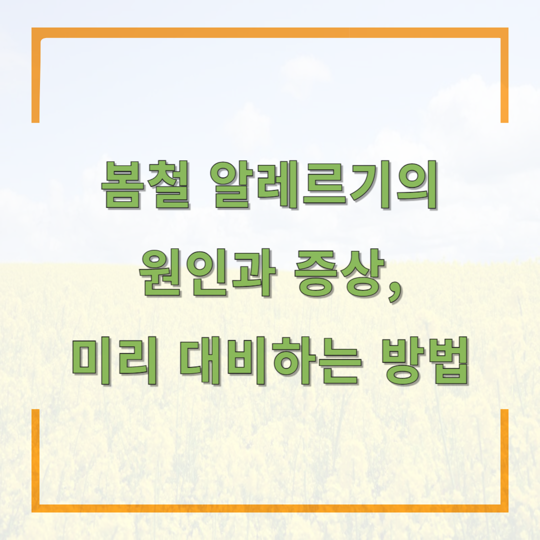 봄철 알레르기의 원인과 증상, 미리 대비하는 방법
