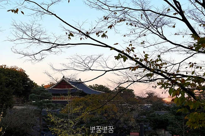 현대원서공원