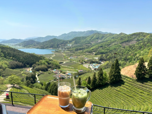 국내 여름휴가지 추천