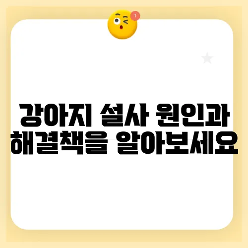 강아지 설사 원인과 해결책을 알아보세요