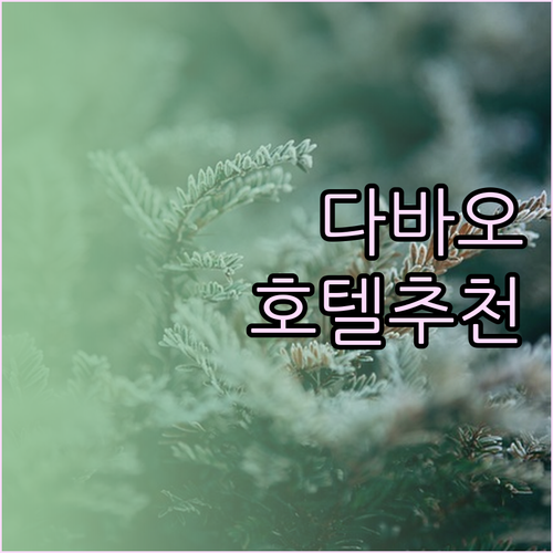 다바오 호텔 추천 위치, 청결, 가성