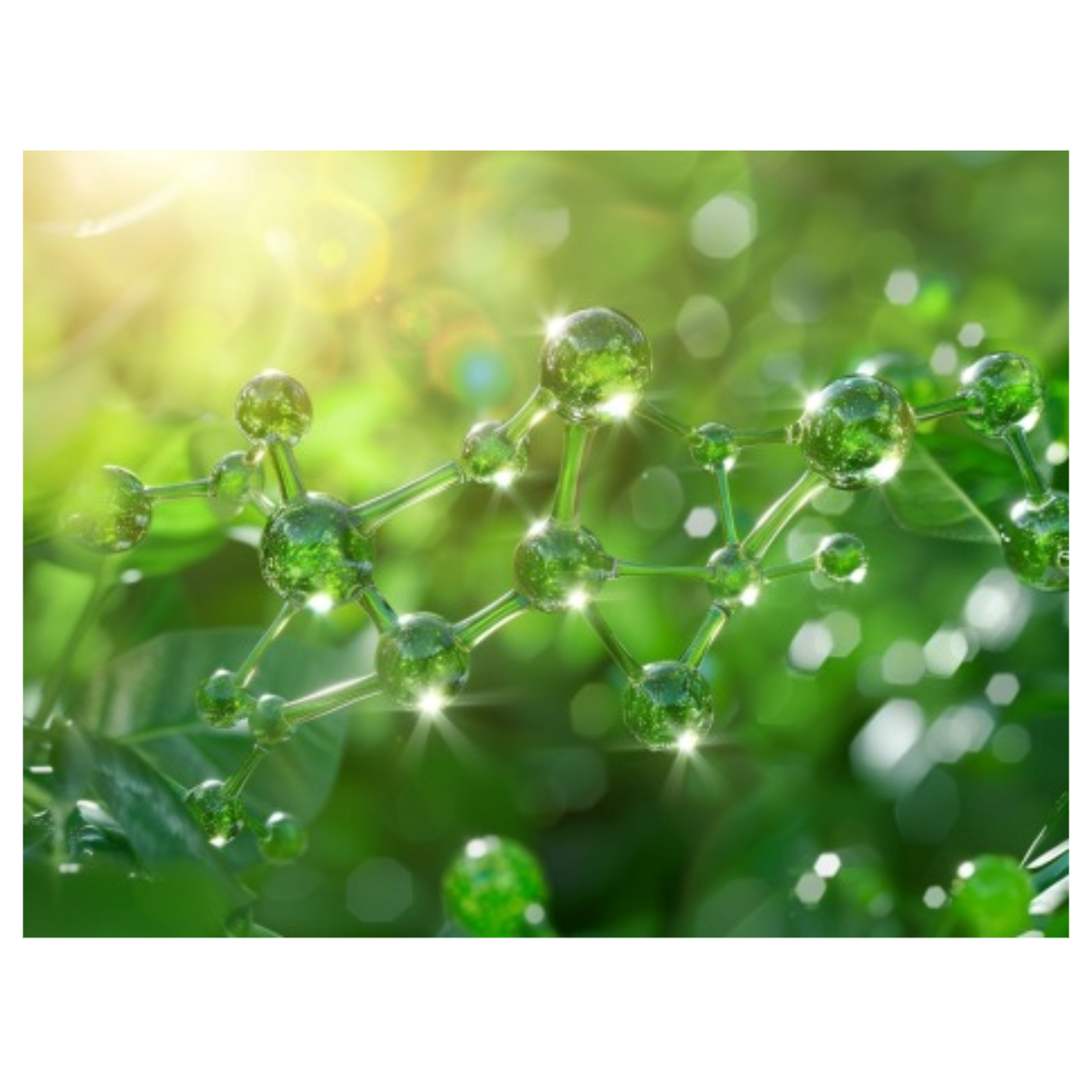 리포좀 멀티비타민과 관련된 사진입니다.