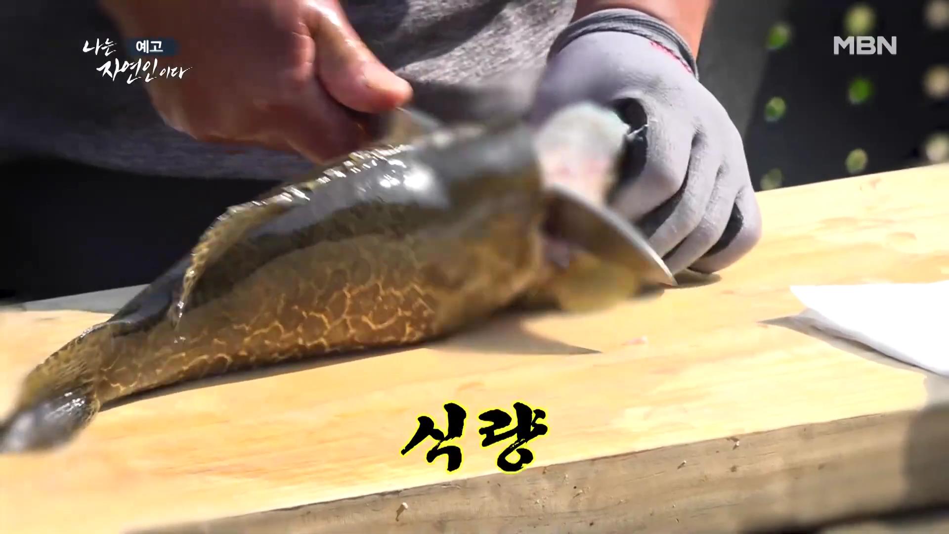 나는-자연인이다-이승윤